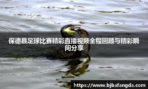 优游娱乐